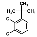 CAS#: 54932-64-8, 1,2-Dichloro-3-(2-Methyl-2-Propanyl)Benzene