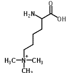CAS#: 55528-53-5, N-(5-Amino-5-Carboxypentyl)-N,N-Dimethylmethanaminium