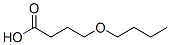 CAS#: 55724-73-7, 4-Butoxy-Butanoicacid