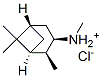 CAS#: 57357-84-3, [1S-(1alpha,2beta,3alpha,5alpha)]-Pinane-3-Methylammonium Chloride