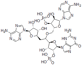 CAS 登录号：57663-51-1， 腺苷酰-(3'-5')-腺苷酰-(3'-5')-鸟苷