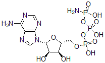 CAS 登录号：58430-80-1， 腺苷三磷酸酯-gamma 酰胺