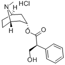 CAS 登录号：5934-50-9， 莨菪碱盐酸盐
