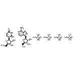 CAS 登录号：61070-25-5， 腺苷三磷酸酯-尿苷单磷酸酯