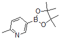 CAS 登录号：610768-32-6， 6-甲基吡啶-3-硼酸频哪醇酯