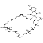 CAS 登录号：62008-36-0， 甲基33-[(3-乙酰氨基-3,6-二脱氧吡喃己糖苷)氧基]-1,3,5,6,9,11,17,37-八羟基-15,16,18-三甲基-13-氧代-14,39-二氧杂双环[33.3.1]三十九碳-19,21,23,25,27,29,31-七烯-36-羧酸酯