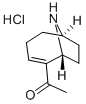CAS 登录号：64314-16-5， (+)-变性毒素 A 盐酸盐