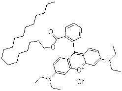 CAS 登录号：65603-19-2， 3,6-二(二乙基氨基)-9-[2-[(十八烷氧基)羰基]苯基]-呫吨鎓氯化物 (1:1)