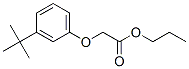 CAS#: 66227-09-6, Propyl [3-(1,1-Dimethylethyl)Phenoxy]Acetate