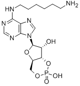 CAS 登录号:66311-09-9, N(6)-(氨基己基)-腺苷-3',5'-单磷酸酯