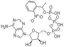 CAS 登录号：67030-27-7， 腺苷 5'-(四氢三磷酸酯) P''-[1-(2-硝基苯基)乙基]酯