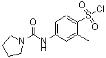 CAS 登录号：678185-68-7， 2-甲基-4-[(1-吡咯烷基羰基)氨基]苯磺酰氯