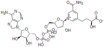 CAS#: 68889-85-0, 5-(3-Carboxy-3-Hydroxypropyl)Nicotinamide Adenine Dinucleotide