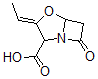 CAS 登录号：69779-62-0， 9-脱氧克拉维酸