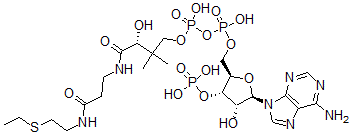 CAS 登录号：70019-68-0， 乙基-辅酶A