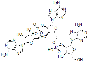 CAS 登录号：70062-83-8， 腺苷酰-(2'-5')-腺苷酰-(2'-5')腺苷