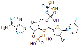CAS 登录号：71187-05-8， 3-碘吡啶-腺嘌呤二核苷酸磷酸酯