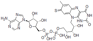 CAS 登录号：71800-97-0， 8-巯基-黄素腺嘌呤二核苷酸