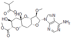 CAS 登录号：72067-15-3， (11R)-11-C-(6-Amino-9H-Purin-9-Yl)-2,6:8,11-Dianhydro-10-O-Methyl-4-O-(1-Oxo-2-Methylpropyl)-7-Deoxy-alpha-L-Ido-D-Lyxo-5-Undecoulo-5,9-Pyranosonic Acid Methyl Ester