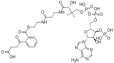 CAS#: 72471-59-1, 4-[2-[2-[3-[[(2R)-4-[[[(2R,3S,4R,5R)-5-(6-Aminopurin-9-Yl)-4-Hydroxy-3-Phosphonooxyoxolan-2-Yl]Methoxy-Hydroxyphosphoryl]Oxy-Hydroxyphosphoryl]Oxy-2-Hydroxy-3,3-Dimethylbutanoyl]Amino]Propanoylamino]Ethylsulfanylcarbonyl]Phenyl]-4-Oxobutanoic Acid