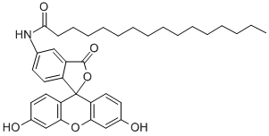 CAS#: 73024-80-3, 5-Hexadecanoylaminofluorescein