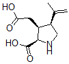 CAS 登录号：73209-05-9， (2R,3S,4S)-rel-2-羧基-4-(1-甲基乙烯基)-3-吡咯烷乙酸