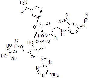 CAS#: 73617-93-3, (2R,3R,4S,5R)-5-[[[(2R,3R,4R,5R)-2-(6-Aminopurin-9-Yl)-4-Hydroxy-5-[(Hydroxy-Phosphonooxyphosphoryl)Oxymethyl]Oxolan-3-Yl]Oxy-Hydroxyphosphoryl]Oxymethyl]-4-[3-[(4-Azido-2-Nitrophenyl)Amino]Propanoyloxy]-2-(3-Carbamoylpyridin-1-Ium-1-Yl)Oxolan-3-Olate