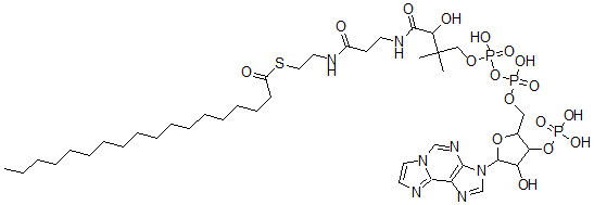 CAS 登录号：73945-37-6， 硬脂酰-(1,N(6))-乙烯桥-辅酶A