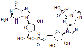 CAS 登录号：73962-12-6， 3-[(2R,3R,4S,5R)-5-[[[(2R,3S,4R,5R)-5-(2-氨基-6-氧代-3H-嘌呤-9-基)-4-羟基-2-(羟基甲基)四氢呋喃-3-基]氧基-羟基磷酰]氧基甲基]-3,4-二羟基四氢呋喃-2-基]咪唑并[2,1-f]嘌呤-5-磺酸