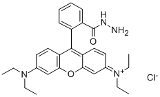 CAS#: 74317-53-6, Rhodamine B Hydrazide
