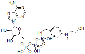 CAS 登录号：74536-50-8， [[[(2R,3S,4R,5R)-5-(6-氨基嘌呤-9-基)-3,4-二羟基四氢呋喃-2-基]甲氧基-羟基磷酰]氧基-羟基磷酰]氧基-N-[[4-(2-羟基乙基-甲基氨基)苯基]甲基]氨基磷酸