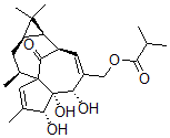 CAS 登录号：74690-91-8， 20-O-异丁酰基巨大戟醇