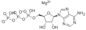 CAS 登录号：74804-12-9， 腺苷 5'-三磷酸酯镁盐