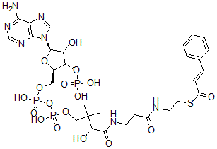 CAS 登录号：76109-04-1， 肉桂酰-辅酶 A
