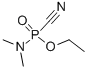 CAS 登录号：77-81-6， 二甲基酰胺基乙氧基磷酰氰化物