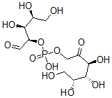 CAS#: 77193-03-4, [(3S,4R,5R)-3,4,5,6-Tetrahydroxy-2-Oxohexyl] [(2R,3S,4S)-3,4,5-Trihydroxy-1-Oxopentan-2-Yl] Hydrogen Phosphate