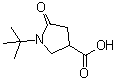 CAS 登录号：773865-05-7， 1-(2-甲基-2-丙基)-5-氧代-3-吡咯烷羧酸