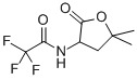 CAS 登录号：77694-20-3， N-(5,5-二甲基-2-氧代四氢呋喃-3-基)-2,2,2-三氟乙酰胺