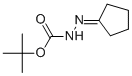 CAS 登录号：79201-39-1， 2-环戊基亚基-肼羧酸叔丁酯