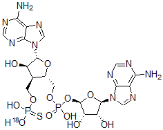 CAS 登录号：80186-83-0， 腺嘌呤基-5'-O-硫代磷酸酯-(3'-5')腺苷