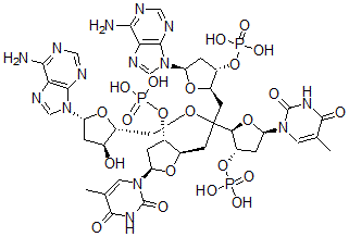CAS#: 80460-62-4, Deoxy-(Thymidylyl-Adenylyl-Adenylyl-Thymidylic Acid)