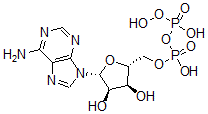 CAS 登录号:80589-10-2, 腺苷酰 5'-过氧二磷酸酯