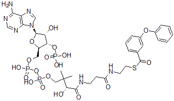 CAS 登录号：81424-65-9， 3-苯氧基苯甲酰基-辅酶 A