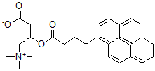 CAS 登录号：81923-90-2， (1-芘丁酰基)肉碱