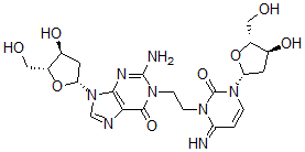 CAS 登录号：83008-59-7， 1-(N(3)-脱氧胞啶基)-2-(N(1)-脱氧鸟苷基)乙烷