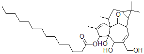 CAS 登录号：83036-83-3， 3-O-十四碳酰巨大戟醇