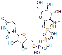 CAS#: 84283-22-7, Uridine 5'-(trihydrogen diphosphate), mono(2-deoxy-2-(methylamino)-O-phosphono-alpha-D-glucopyranosyl) ester