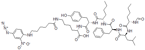 CAS 登录号：84311-50-2， N-甲酰基-正亮氨酰-亮氨酰-苯丙氨酰-正亮氨酰-酪氨酰-N-epsilon-(6-(4'-叠氮基-2'-硝基苯基氨基)己酰)赖氨酸