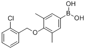 CAS#: 849052-15-9, B-[4-[(2-Chlorophenyl)methoxy]-3,5-dimethylphenyl]-Boronic acid