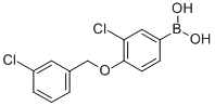 CAS 登录号：849062-26-6， B-[3-氯-4-[(3-氯苯基)甲氧基]苯基]-硼酸